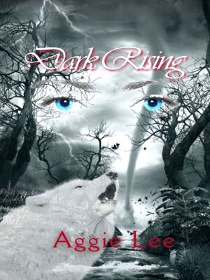 cover image of Dark Rising